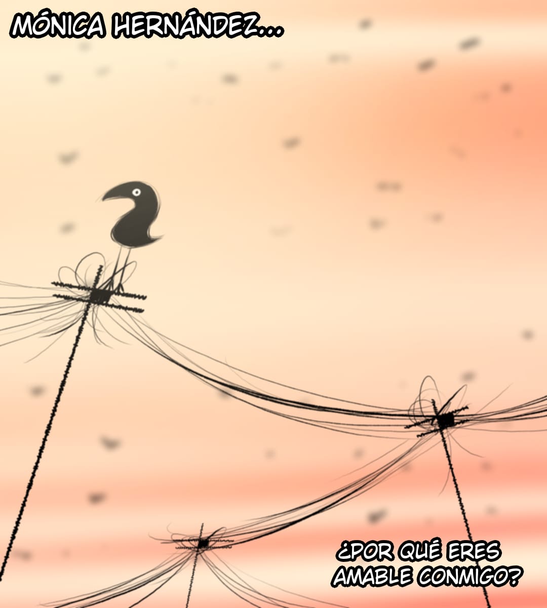 imagen-19
