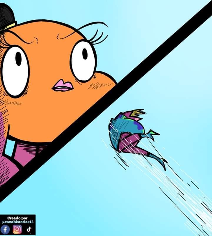 imagen-14