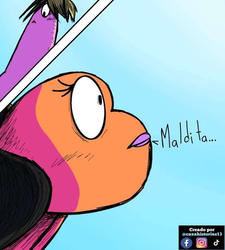 imagen-16