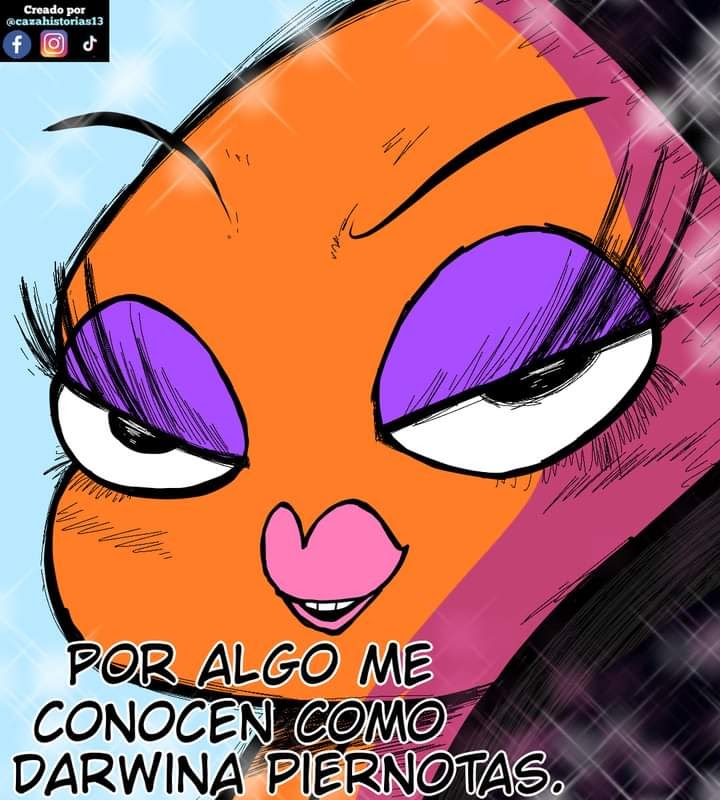 imagen-8