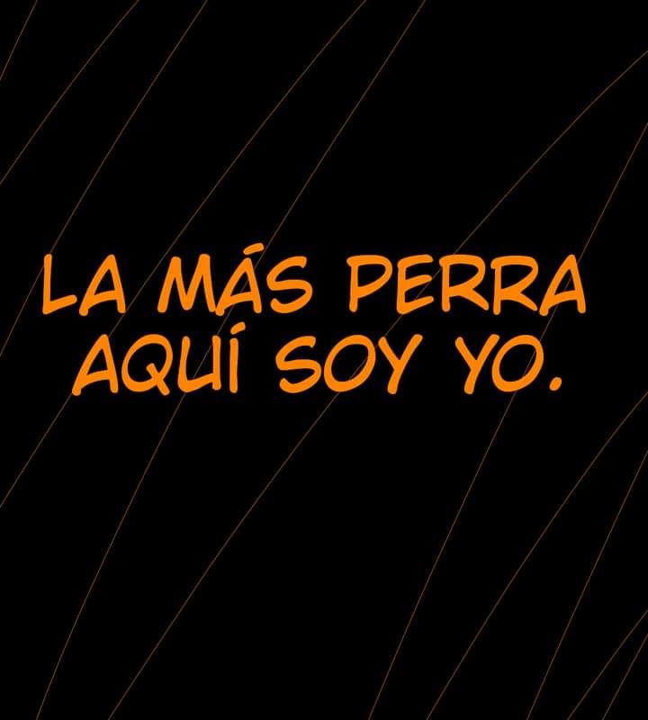 imagen-9