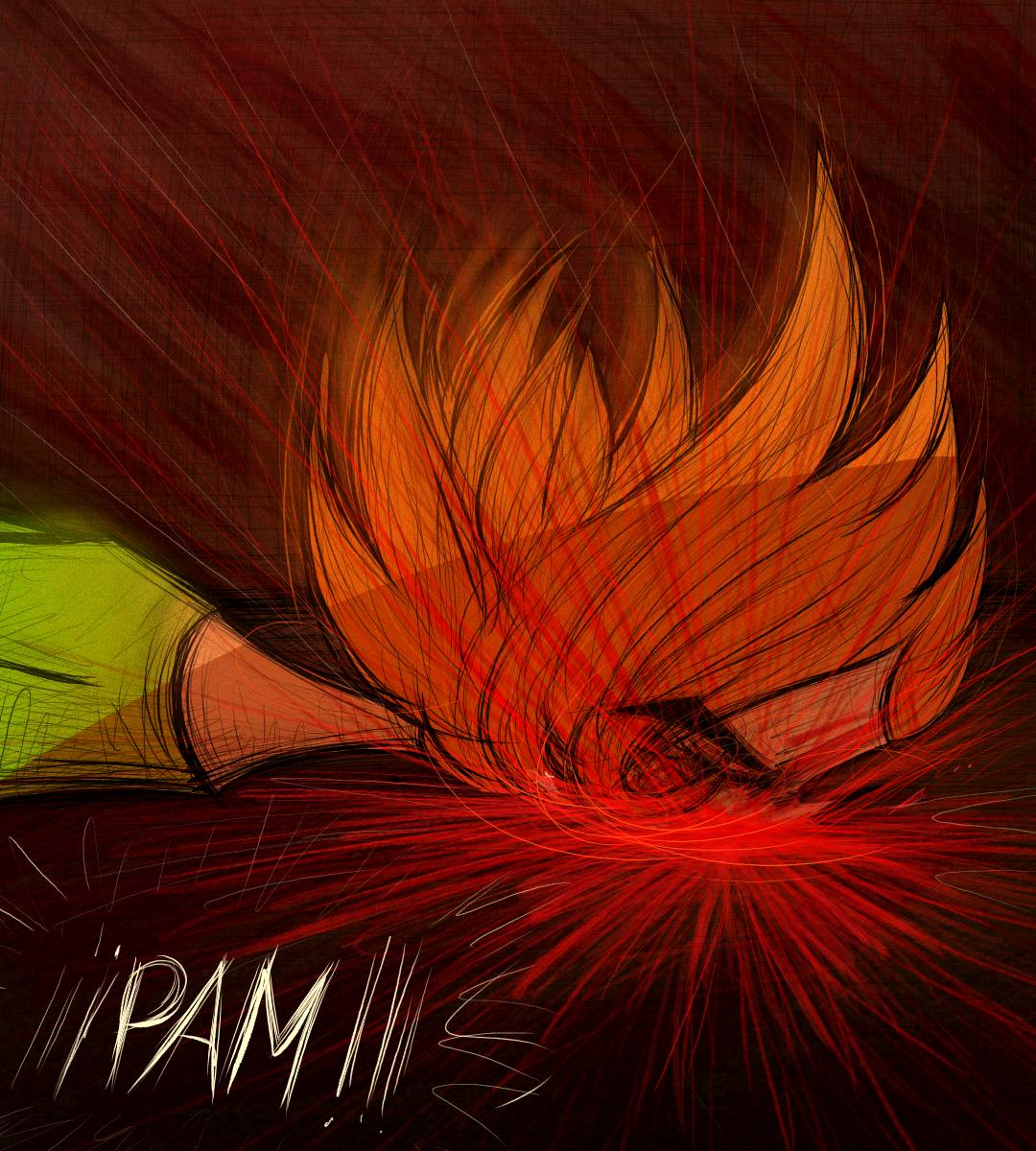 imagen-15