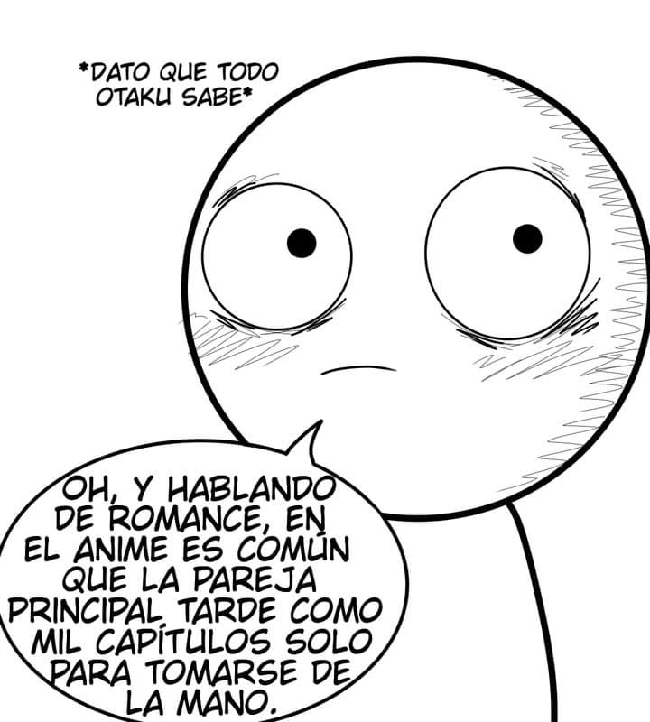 imagen-14