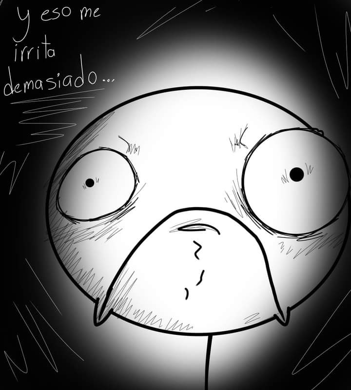 imagen-15