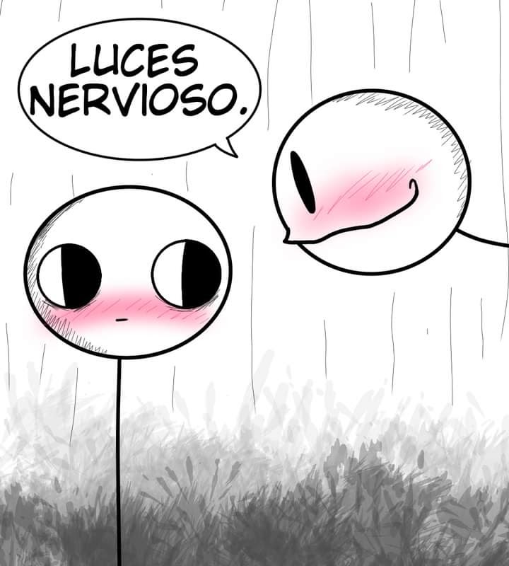 imagen-5