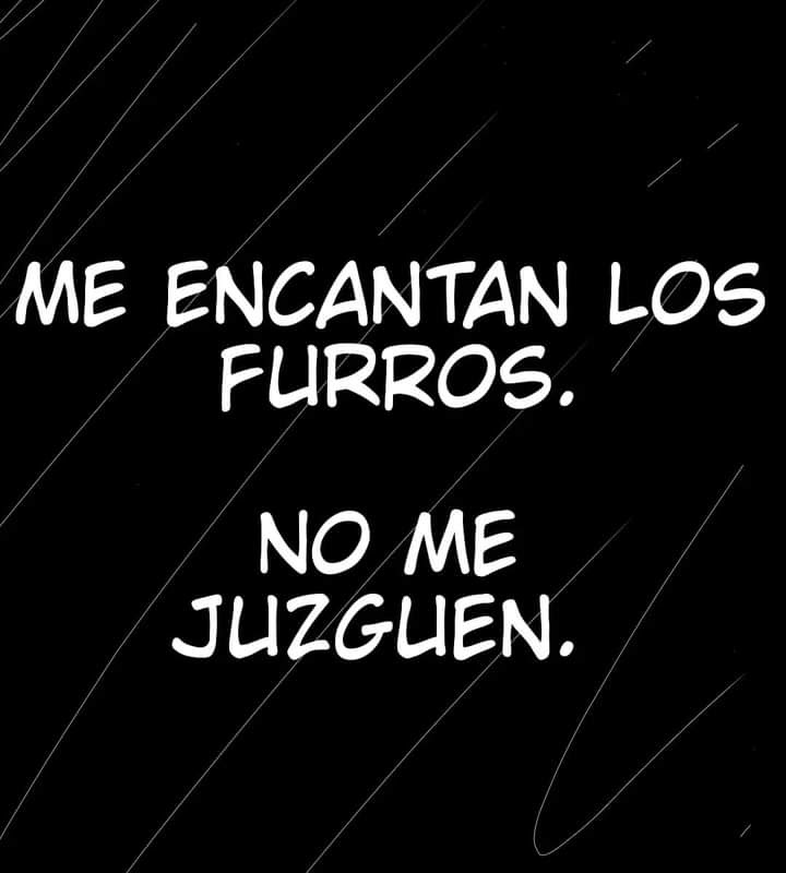 imagen-16