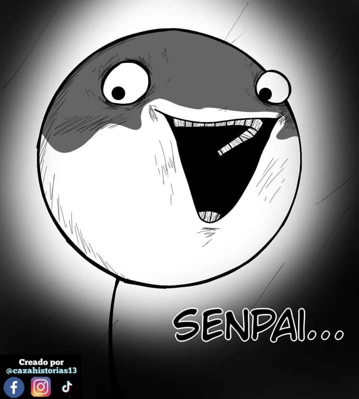 imagen-7