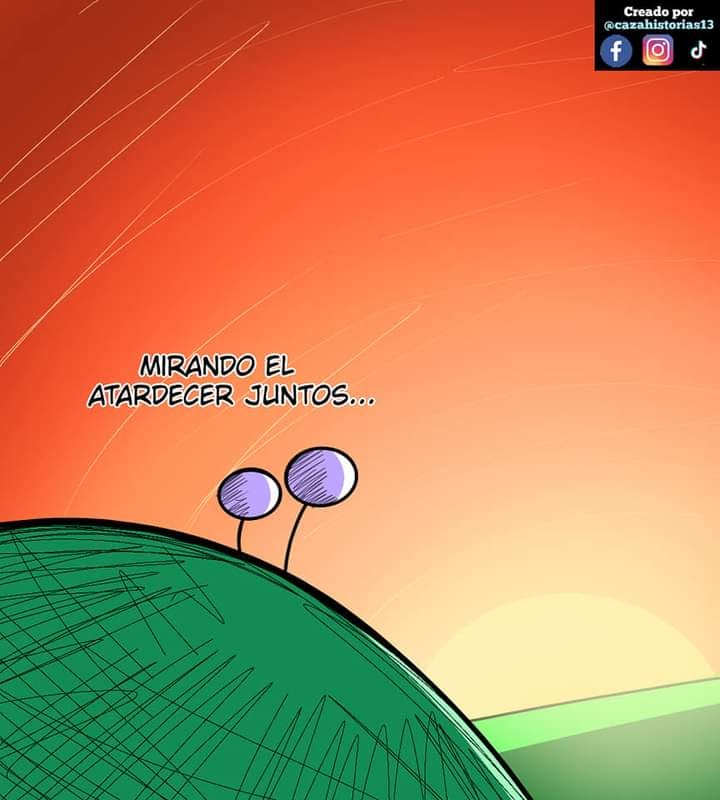 imagen-19