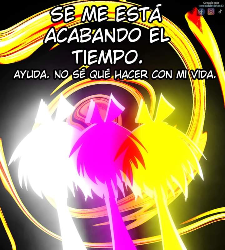 imagen-13