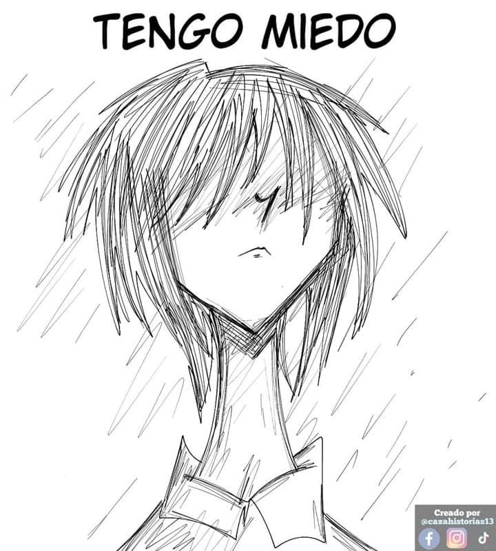 imagen-17