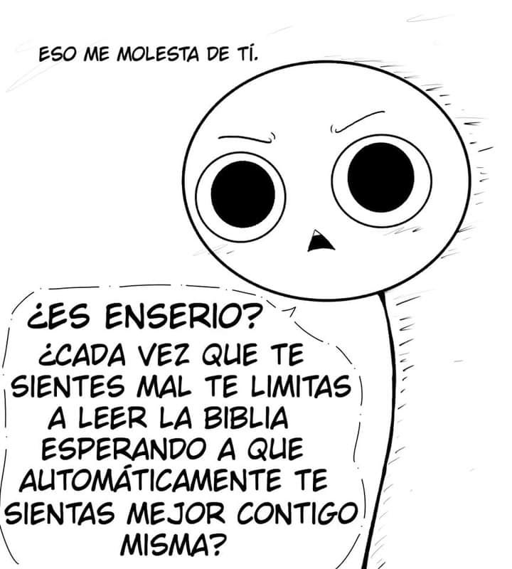 imagen-15