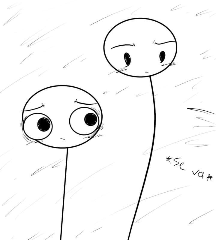 imagen-16
