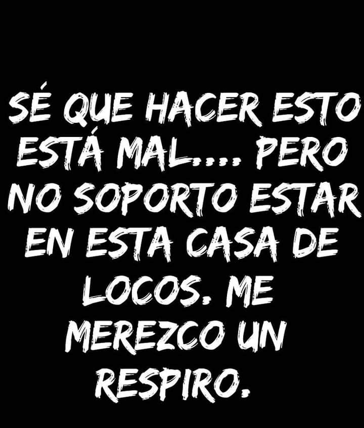 imagen-24