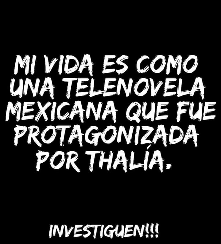 imagen-14