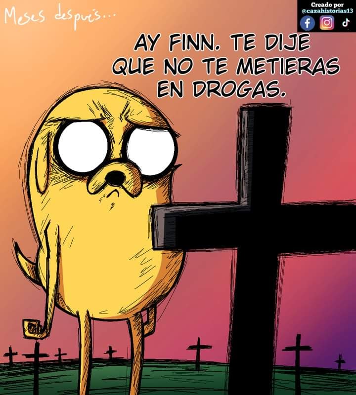 imagen-19