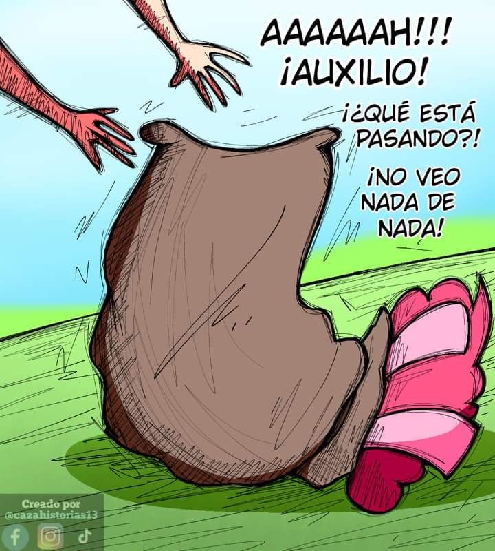 imagen-5